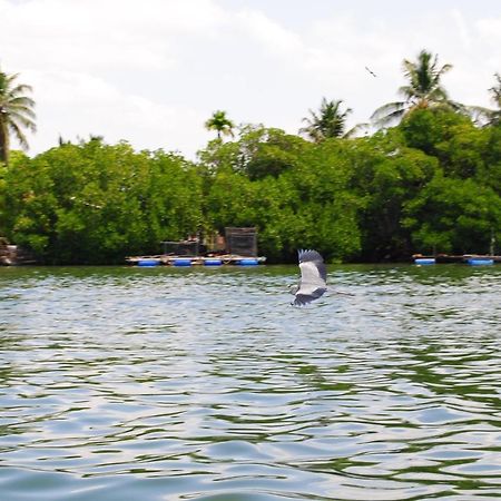 Miura Dutch Edge Hotel Negombo Luaran gambar