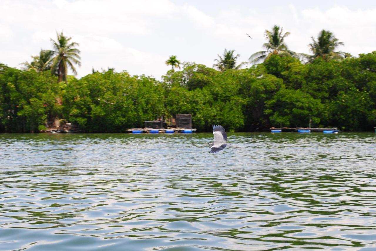 Miura Dutch Edge Hotel Negombo Luaran gambar